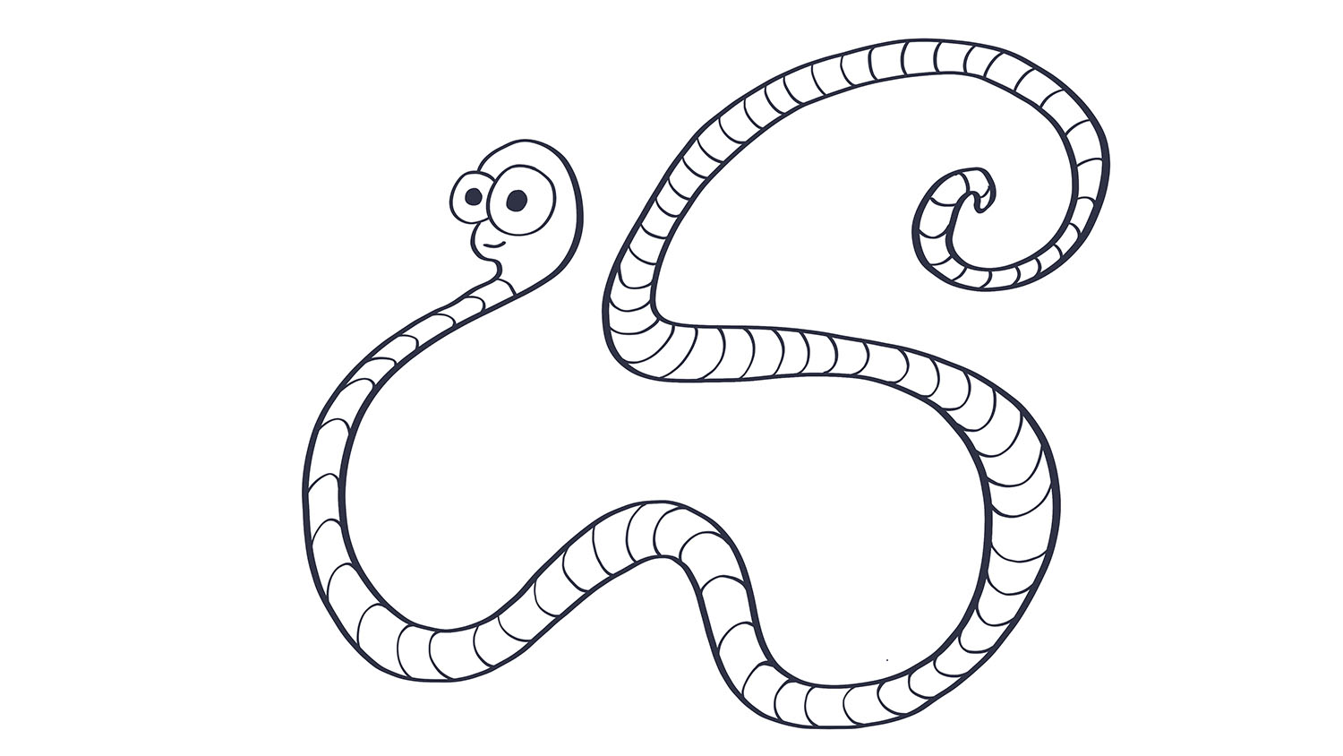 21. Lombriz / Earthworm. 103dibujos